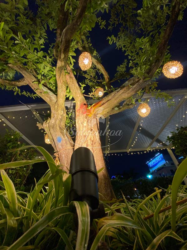Hướng dẫn lắp đặt đèn LED chiếu cây cho sân vườn