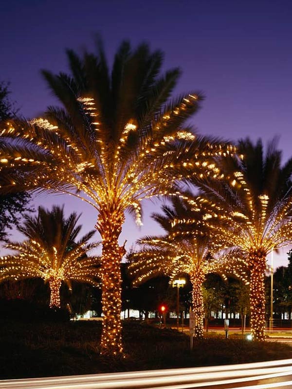 5 Kiểu dùng đèn LED trang trí Noel sân vườn tuyệt đẹp
